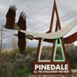 National Sculptors' Guild Public Art placement 463 Don Rambadt, Entry Eagles, Pindale, Wy 2016